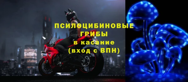 твердый Галич