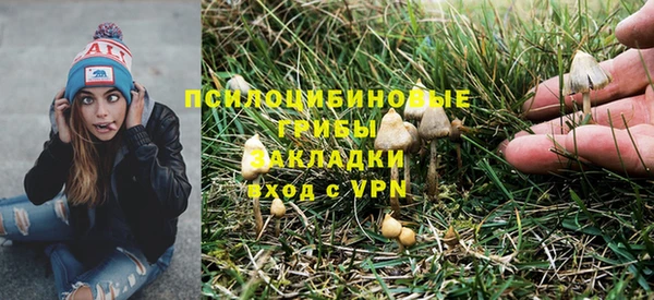 спайс Инта