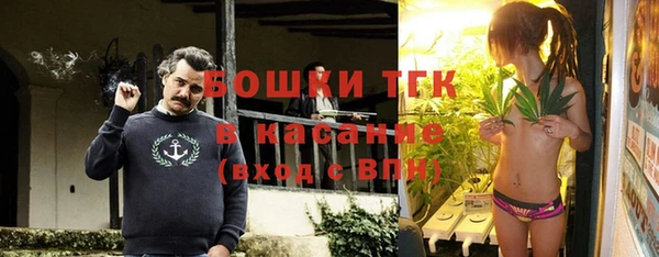 спайс Инта